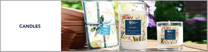 Candles