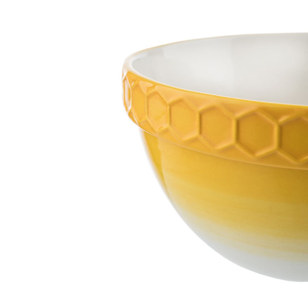 KITCHEN PANTRY 1L PUDDING BASIN - SAK Home