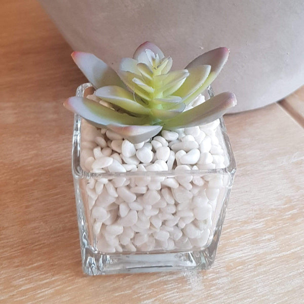Miniature Glass with White Stones and Green Artificial Succulent - SAK Home